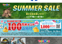 サマーセール開催！